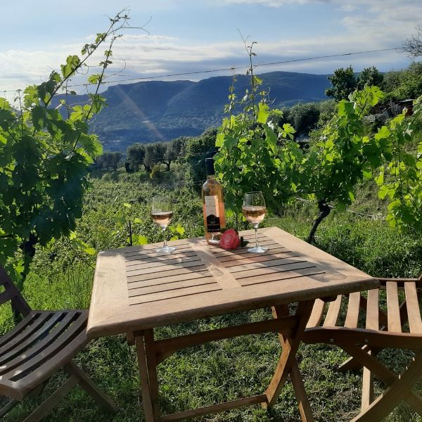 Visite et dégustation de trois vins 